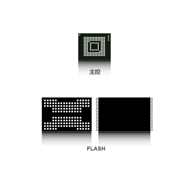 LPDDR5